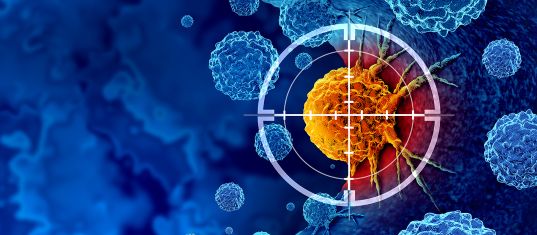 An image of a cell