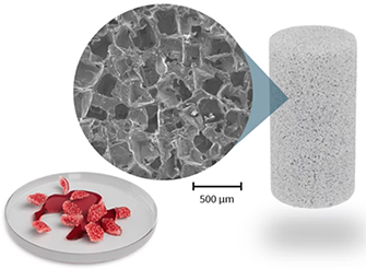 Citregraft, a protein-binding bioactive scaffold